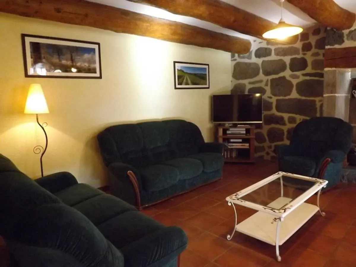 Holiday home Maison De Caractere Renovee, Proche Pistes De Ski, Grand Jardin, Internet, Animaux Acceptes - Fr-1-742-452 Villa Albepierre-Bredons