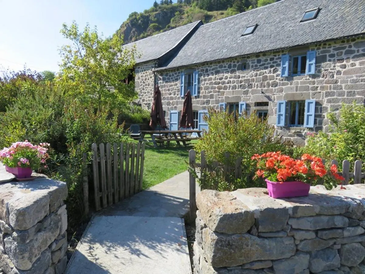 Maison De Caractere Renovee, Proche Pistes De Ski, Grand Jardin, Internet, Animaux Acceptes - Fr-1-742-452 Villa Albepierre-Bredons Holiday home